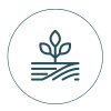Actividades agrarias
