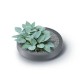 Tanque de agua de lluvia Prosperplast Maze, 240L |  |  |